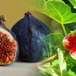 Rüyada İncir Yemek Ne Anlama Gelir