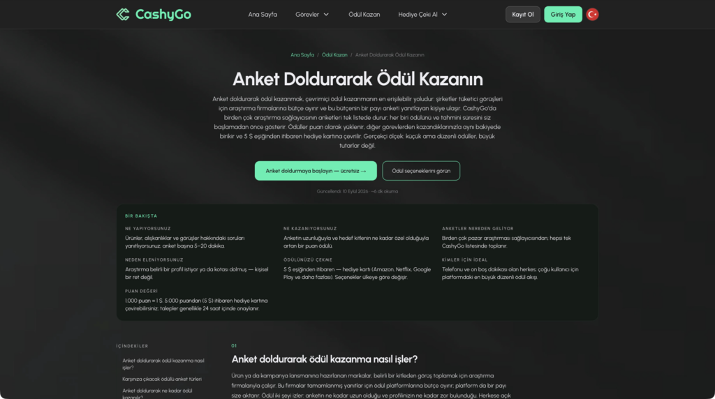 CashyGo anket görevleri sayfası ekran görüntüsü