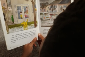 Kitap okuyan meraklı bir çocuk