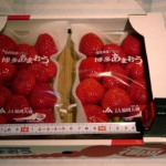 Paketlenmiş hediye kutuları
