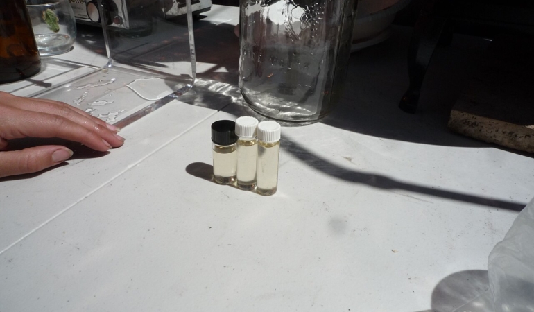 Lavanta çiçekleri ve küçük bir şişe lavanta yağı